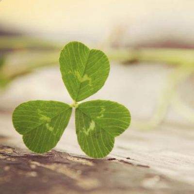 皇冠welcome下载下载手机版截图